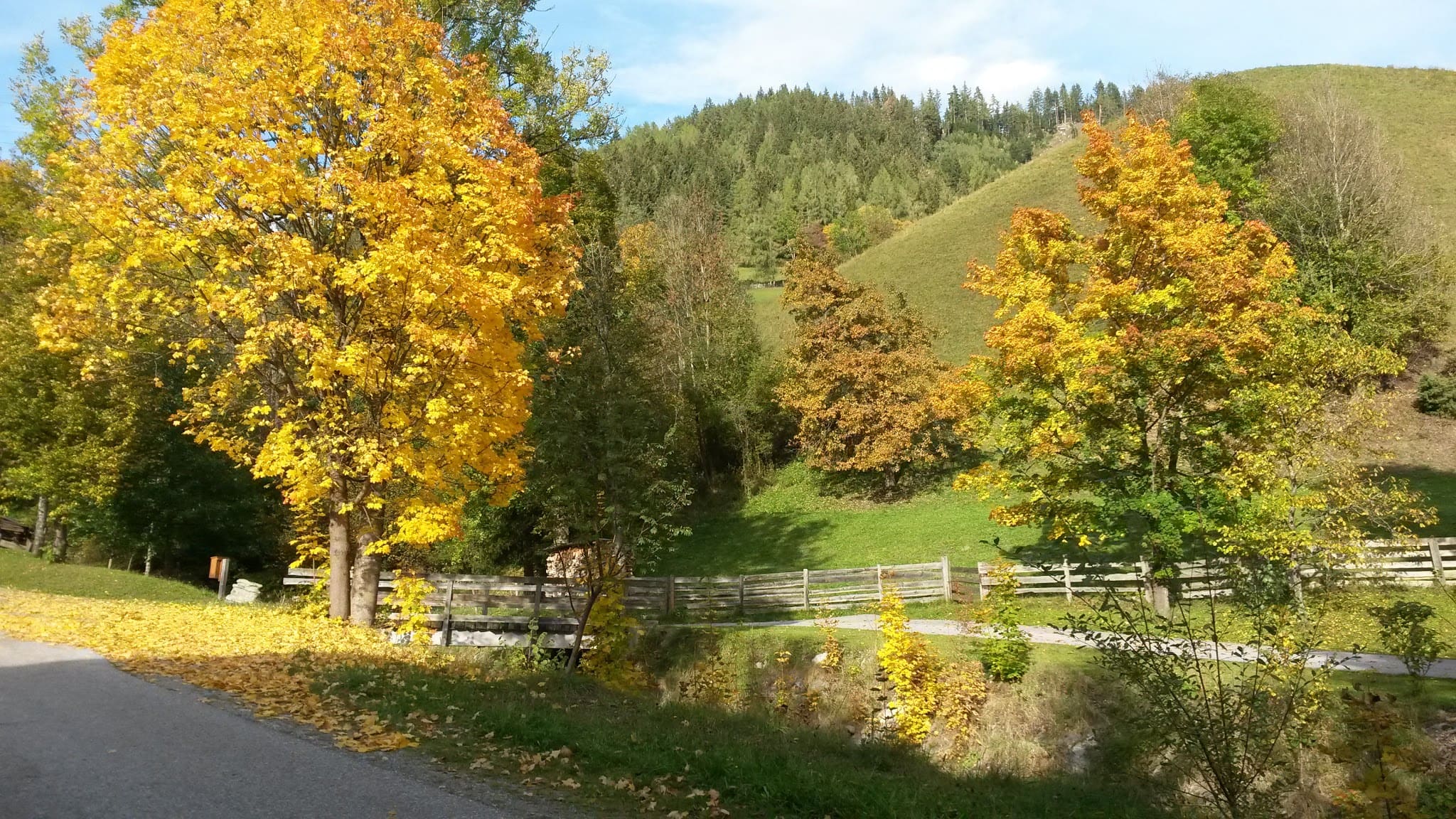 walking through the nature in autumn Herbstspaziergang