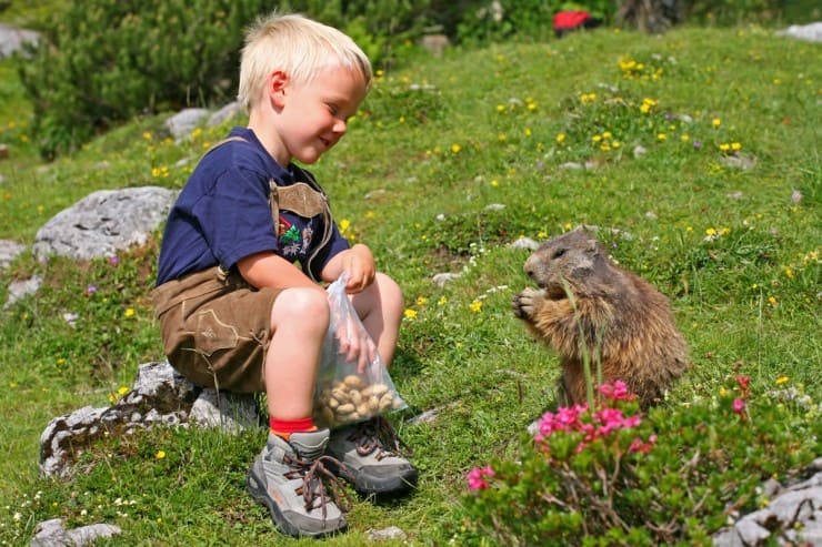 Kind mit Murmeltier auf der Alm